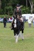 thornton-le-dale-gala showclass7acharity25-5-20146